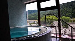 Hotel Valea cu Pesti - Image 5