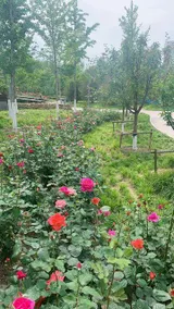 Super 8 Collection Hotel (Beijing South Railway Station Muxiyuan Subway Station) - Image 3