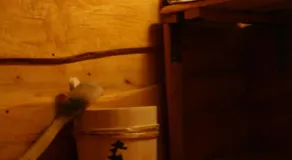Świerkowe Rancho - Image 4
