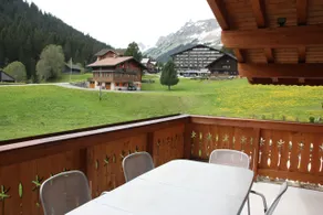 Edelweiss B31 - Image 3