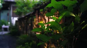 Kuuhouse - Image 5