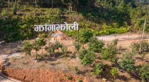 Jhangajholi Village Resort - Image 2