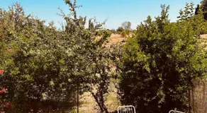 Sofia's House - Image 4