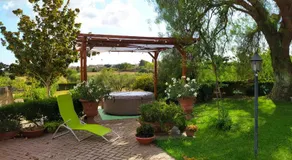 L'albero Del Pepe - Image 4