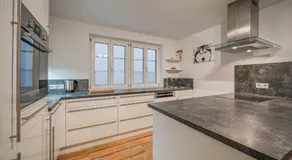 Apartment Gorilla - Image 3