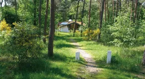 Summio Vakantiepark Herperduin - Image 4