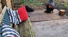 Gezellige Blokhut op de Veluwe - Image 3