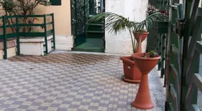 Palma - Image 3