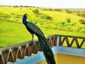 Naveterra-Hotel Rural - Image 5