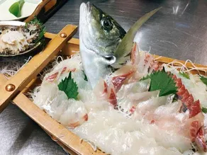 Matsuoka - Image 4