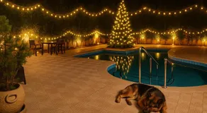 Laguna King - care & comfort - Image 3