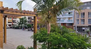 Studia Puerto de Santiago - Image 5