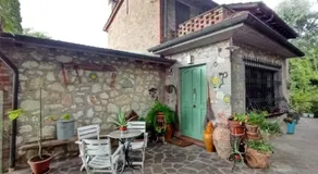 Tra grilli e cicale - Image 3