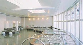 Kiyosato Onsen Hotel Ryokuseisou - Image 4