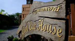 Cool Cat House ครูแคทเฮาส์ - Image 4