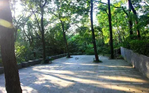 Maoshan · Zhidao Forest Hot Spring Home stay - Image 5