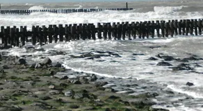 Searose B@B - Image 5