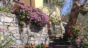 L'Alcova tra gli ulivi - Image 4