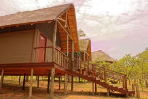 Lion Roars Lodge - Image 2