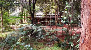 Aralu Habarana Resort - Image 5