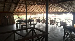 Casa tartaruga - Image 2
