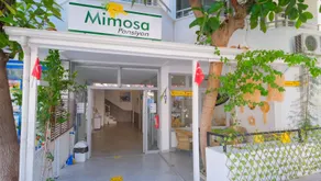 Mimosa Pension - Image 3