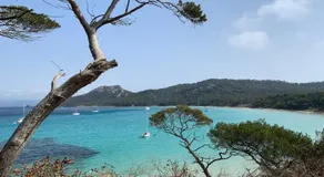 Appartements sur l'ile de Porquerolles - Image 5