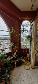 Cozy Homestay for only Women with City view - Image 4