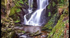 The Island & Fairfield - Image 4