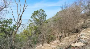 Point of View - Image 5