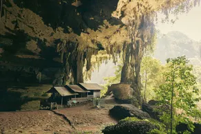 Sutera Horizon at Niah National Park - Image 3