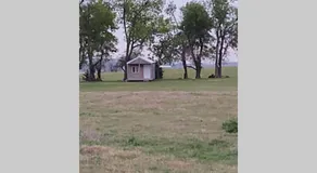 Kleine Hütte auf der DonkeyRanch - Image 5