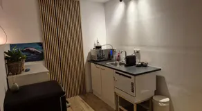 Dolfijn - Image 4