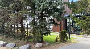 Nice apartment close to the beach - Image 5