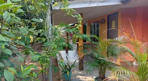 The Nest - Image 2