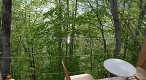 Treehut, nature, birds, silence and fjord - Image 5