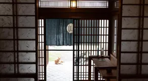 草地家 猫と図書館のある宿 - Image 3