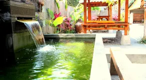 Yasa Backpackers house - Image 3