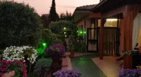 Hotel Rosamarina - Image 4