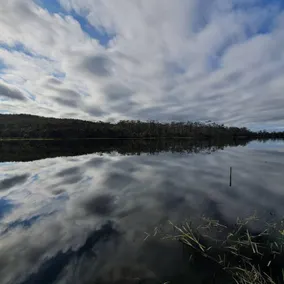 Lake Yalleena Nature Retreat - Image 5