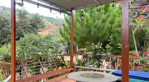 NamBanhomestay&cafe Linh Ẩn Tự - Image 4