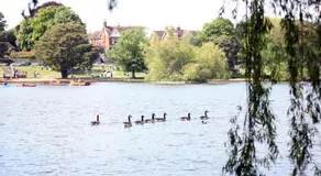 Perfect for Petersfield B&B - Image 5