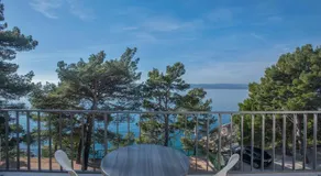 Villa Dalmatia Apartments - Image 3