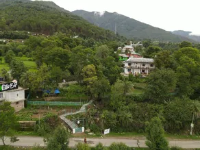 Little Bir - Image 5