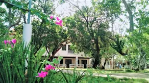 La Sirenita - Image 3