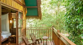 Our Jungle Camp - Image 3
