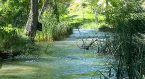 Allen Ranch - Image 5