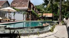 Tentacle Bali - Image 3