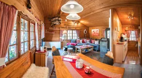 Bergchalet La Roubine Willingen - Image 3