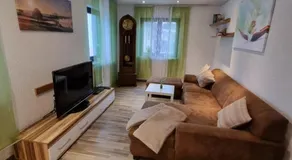 Ferienwohnung Elsenztal - Image 3